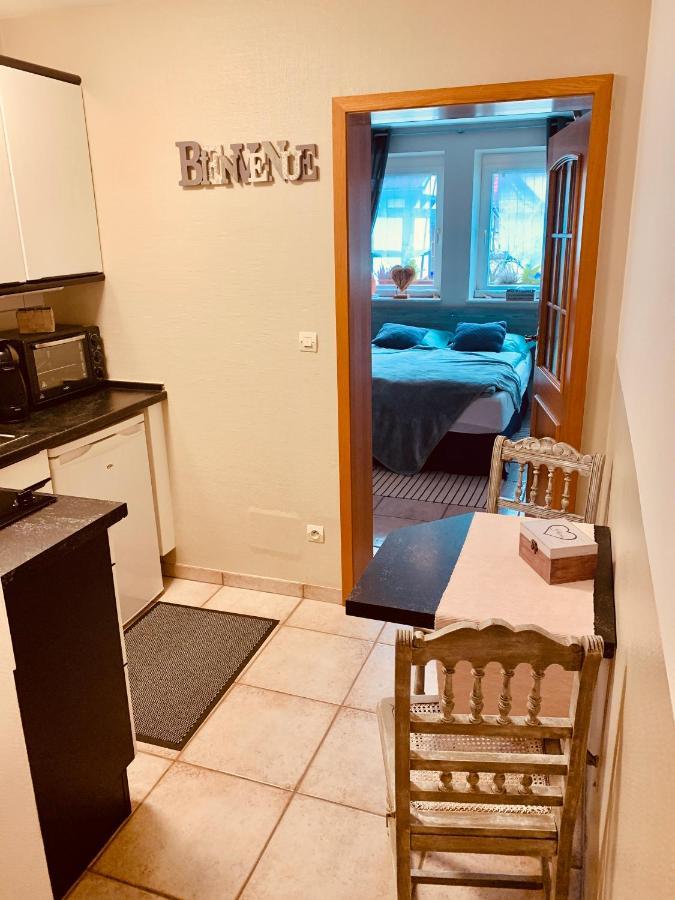Maison A Colombages Wissembourg Kültér fotó